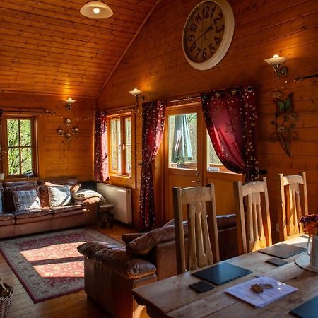 George Cabin - Log Cabin In Wales With Hot Tub Newtown  Exterior photo